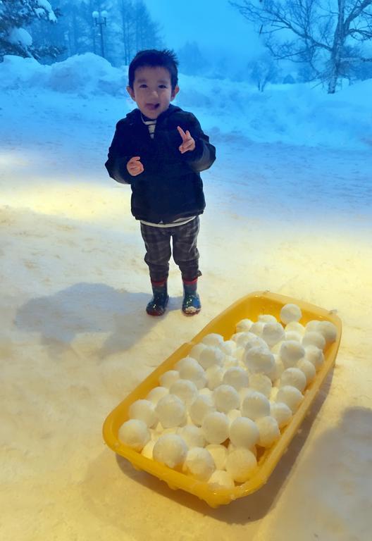 Snowball Chalet at Madarao Mountain Hotel Iiyama Bagian luar foto